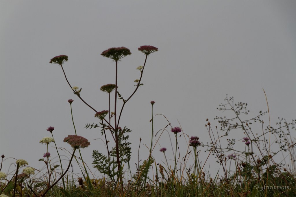20140826_0025